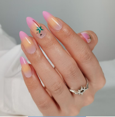 Palm Escape